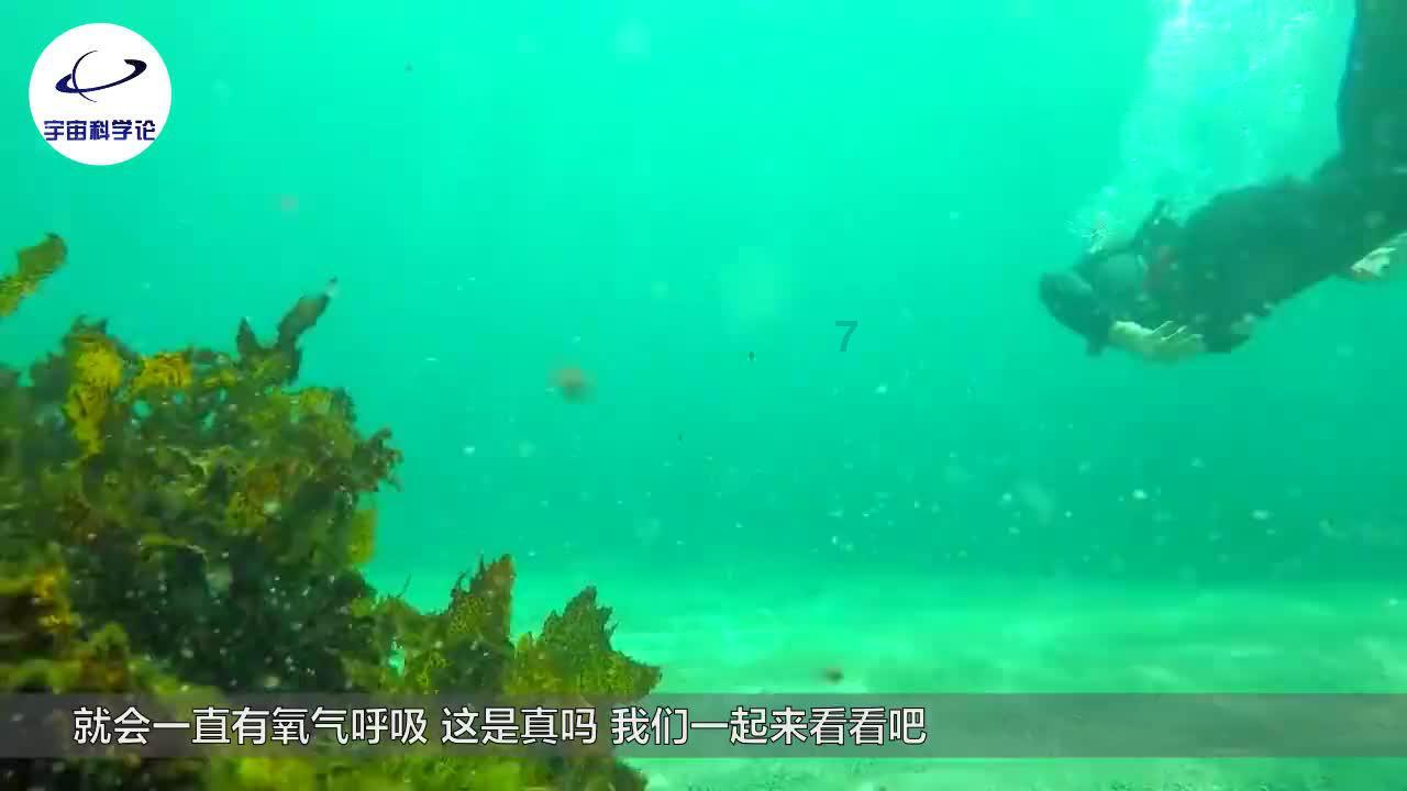 第一次去男/女朋友家时,对方家都是怎么招待你的?-生物科学百科问答