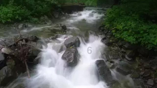 春雨直播app
